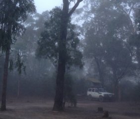 Australia (Yengo NP)